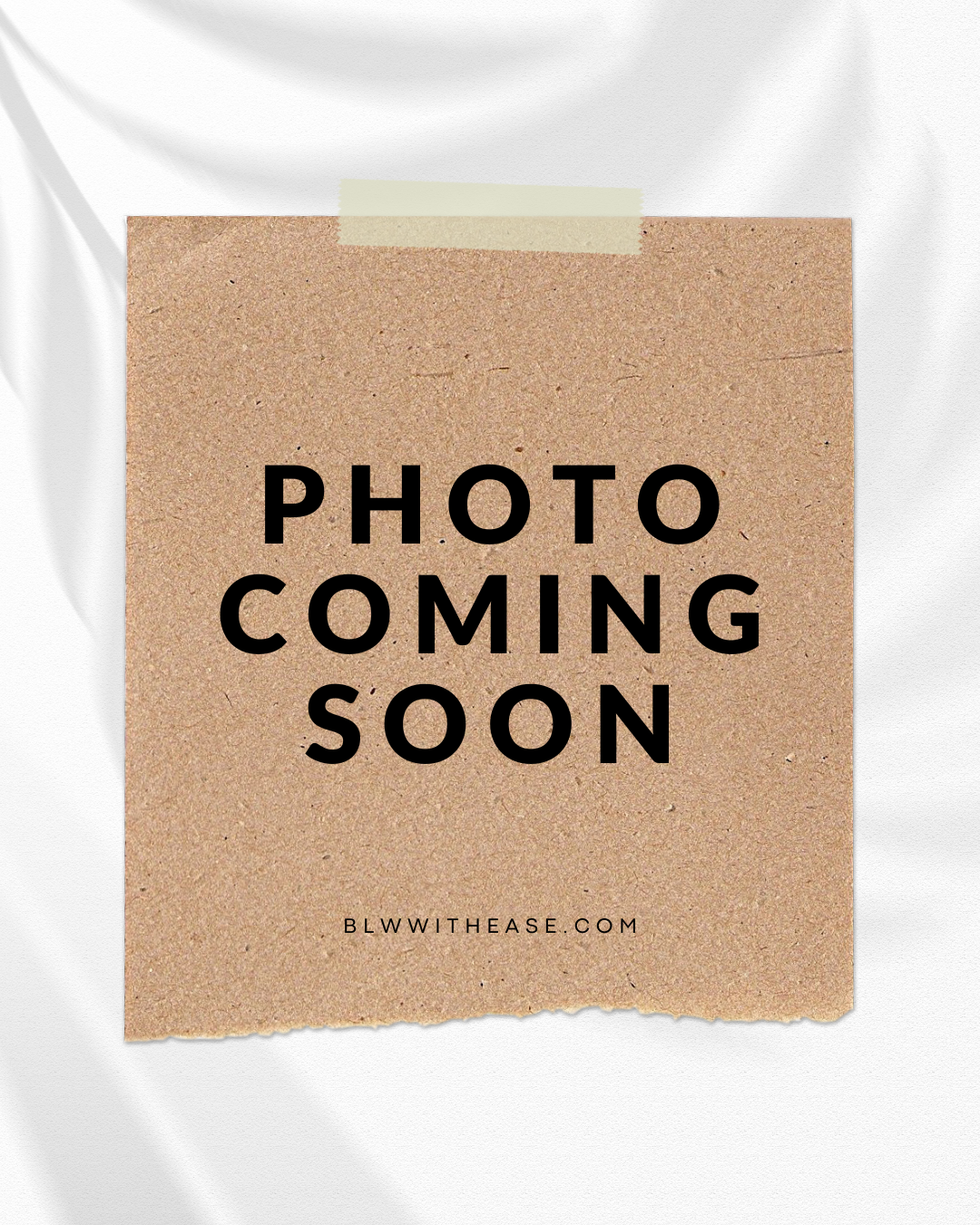 Banana Goji Berries Muffins